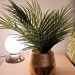 Zenith - Cartoucherie - Purpan * Tuluza