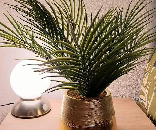 Zenith - Cartoucherie - Purpan * Τουλούζη