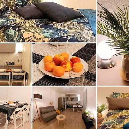 Zenith - Cartoucherie - Purpan تولوز