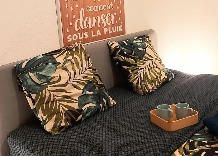 Zenith - Cartoucherie - Purpan