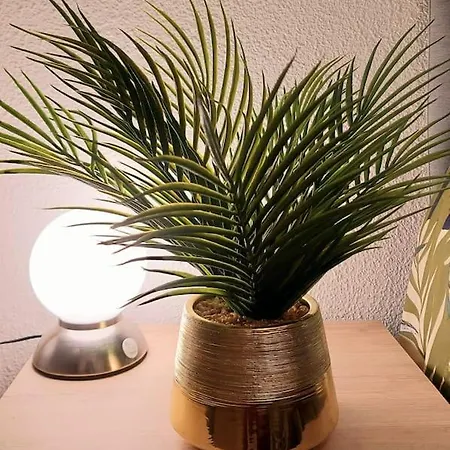 Zenith - Cartoucherie - Purpan * トゥールーズ